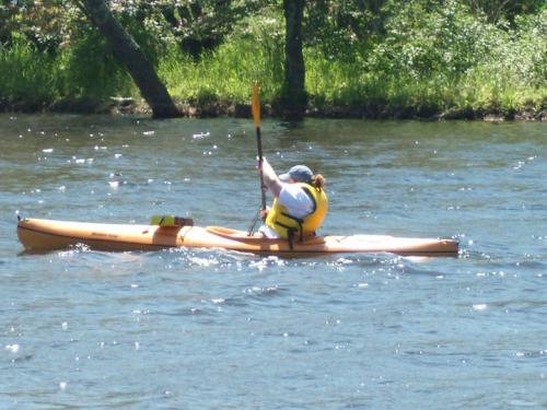 mtnseeker's profile picture. discovering interesting web sites and sharing the knowledge, one link at a time