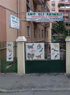 Amo Gli Animali è un punto di riferimento per chi cerca prodotti e assistenza per animali