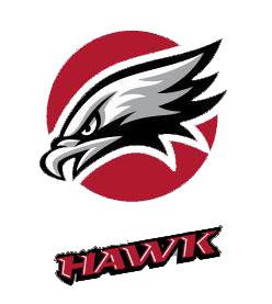 bala_hawk_dcube's profile picture. 