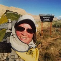 Lynda Nicholson - @geolsn Twitter Profile Photo