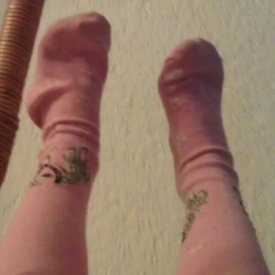 Sven43517991's profile picture. 