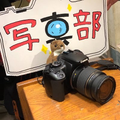 ⚫千葉県立鎌ヶ谷高校写真部です。活動の様子をツイートします。⚫初心者・途中入部大歓迎🌸 ⚫お気軽にフォローお願いします！
⚫📮質問箱は固ツイから！全ての回答は『ツイートと返信』で確認できます🙆‍♀️