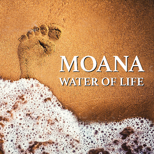Moana Water of Life Conference