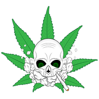 The Smoking Gamer (@420smokinggamer) 's Twitter Profile Photo