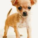 Myung Hoon Lim(임명훈) - @Wawa_Limmy - Twitter