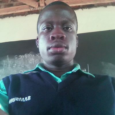 Land and engineering Surveyor, GIS& Remote Sensing Expert, Environmental consultant and Real Estate Agent.
