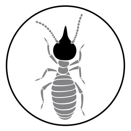 Identification, description and distribution of termites in the world.
Identificación, descripción y distribución de las termitas en el mundo.