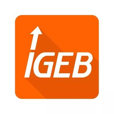 IGEB_Berlin Profile Picture