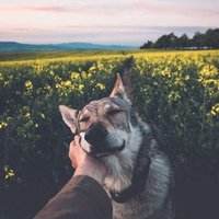 alphameta (@alphabetadeltaa) 's Twitter Profile