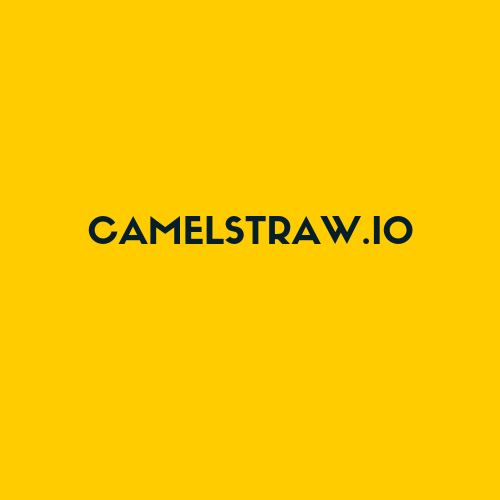 camelstrawio's profile picture. Run Jmeter scripts at scale