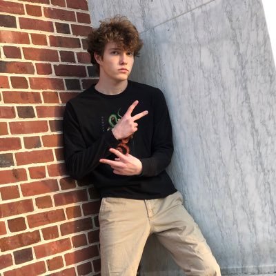 ttown population: 4, sister city to tommyville he/him