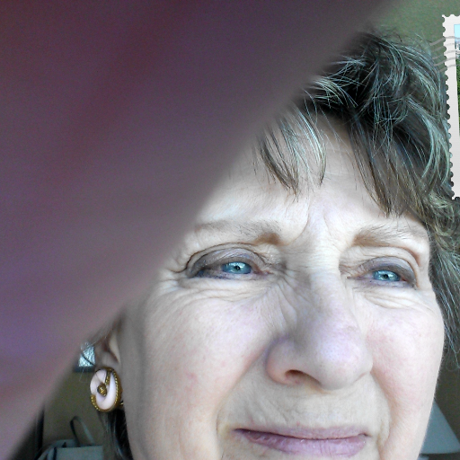 preachersgal1's profile picture. Author of Longings of the Heart:  The Story of Elsie Machle White.  Researchers of history, genealogy, UM and Presbyterian Church, antique dealer.