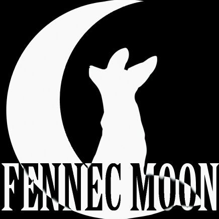 Fennec Moon is a creative endeavor with a focus on video games, animation, books, and audio. Check us out at https://t.co/krJ5iHLgMX!
