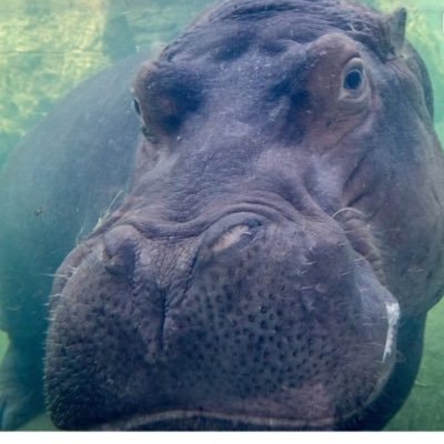 jennsacc15's profile picture. 