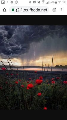 LuetVeronique's profile picture. 