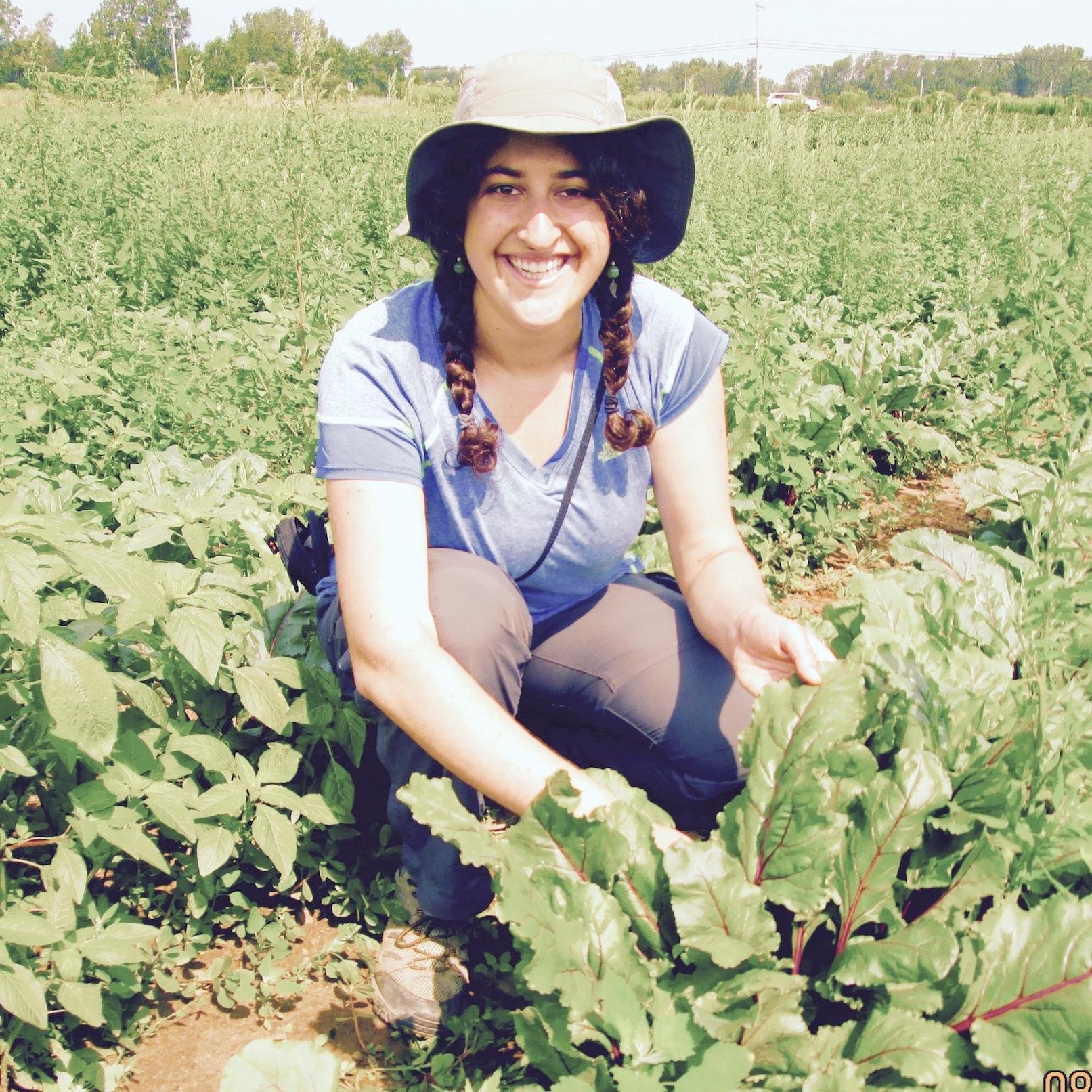Program Assistant with @CornellVeg 🍅🥬🫑🥕 (she/her)