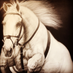 The Mortgage Place Santa Fe (@mortgagefe) Twitter profile photo The Mortgage Place Santa Fe (@mortgagefe) Twitter profile photo