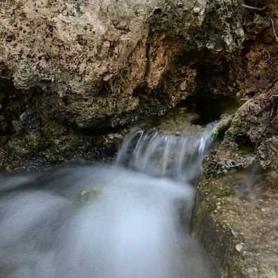 De la partida de les barraques a la vall bona