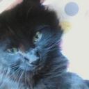 keri collins - @_kerigoesrawr_ - Twitter