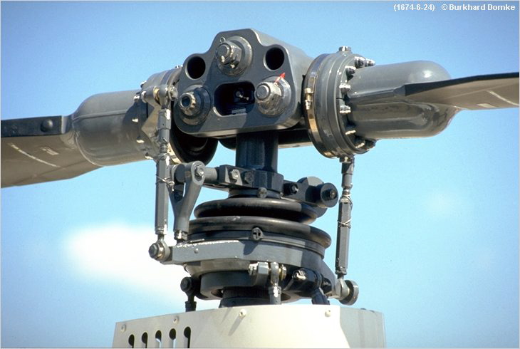 limeyfly's profile picture. 