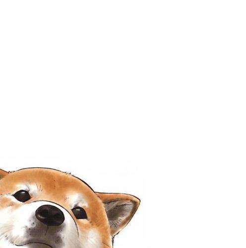 コリエルさんのプロフィール画像