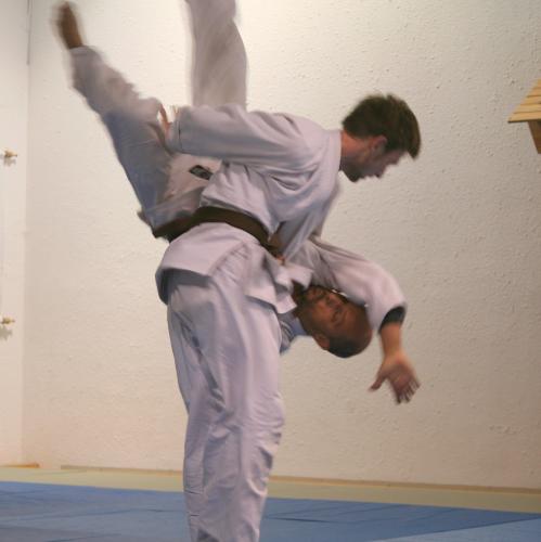 Software Developer by trade, aikidoka, yogin, interests in Systems Dynamics and Agile practices