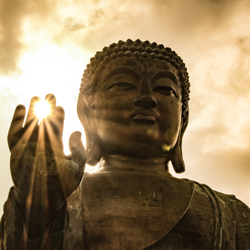 REALBoodahBrown's profile picture. You guys already know it ye boi Boodah Brown. We gonna get verified and take over. Providing that good content and being a role modle for you browns.