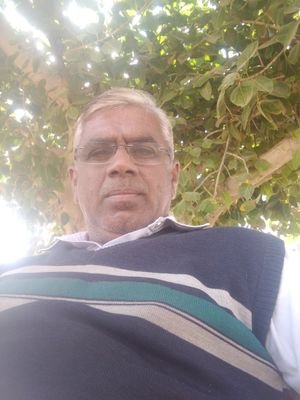 Jethusi08669017's profile picture. rajpurohit