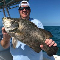 Chad LaBarre (@clabarre) 's Twitter Profile