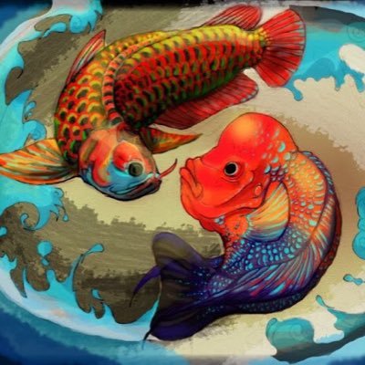 Freshwater local fish store in San Diego, California. We carry all varieties of freshwater tropical fish, aquascaping supplies & rare sought after monster fish!