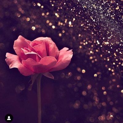 aarooja1997's profile picture. 