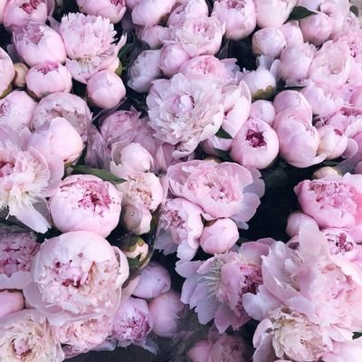 sonukumar_sf's profile picture. Sonu kumar.