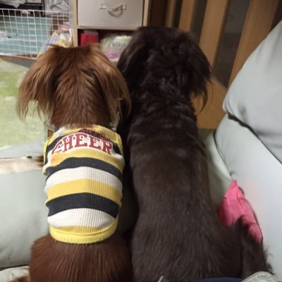 tmsk4's profile picture. 