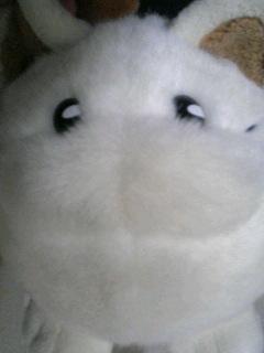 muccho2nd's profile picture. 東大阪の中小企業でものづくりに励む、妄想と暴走で科学する理系男子です
化学、自転車乗り(Trek Madone4.5、ドッペルギャンガーFX11Licht)、Android(SHL22)、ときどきGT5とダーツ　大阪、神戸、奈良　フォロー、リムーブご自由にどうぞ