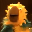 glad you found me, but I ain't no canary!