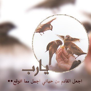 نشميه وبنت بلدي