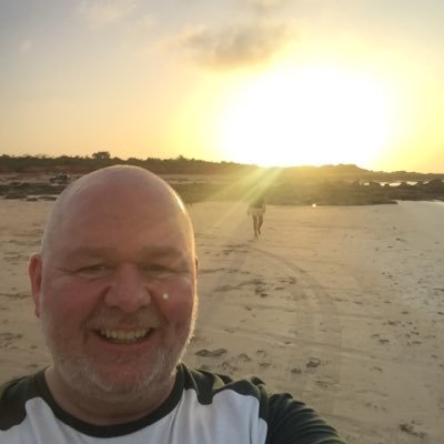 DavidWi62718043's profile picture. 