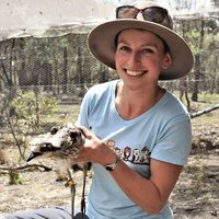 Shoshana Rapley (@shobird) Twitter profile photo