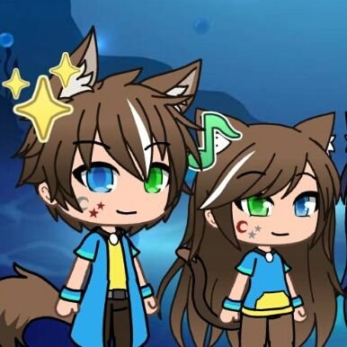 🐺🐱kira kuro/neko wolf💙💛さんのプロフィール画像