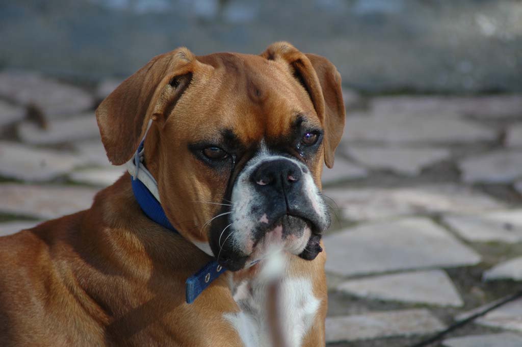 Merry52746164's profile picture. Por molestar...