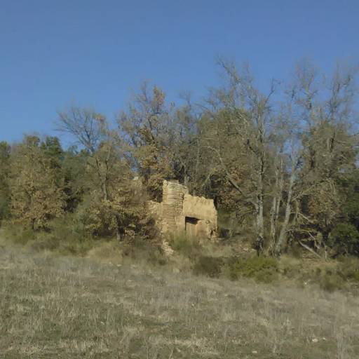 Juanjo_Rue's profile picture. De vegades baixo a la ciutat per veure els aparadors i saber el que no necessito (Josep Pla)