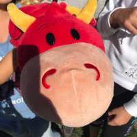 Madame Lisi (@mmelisi_dsbn) Twitter profile photo
