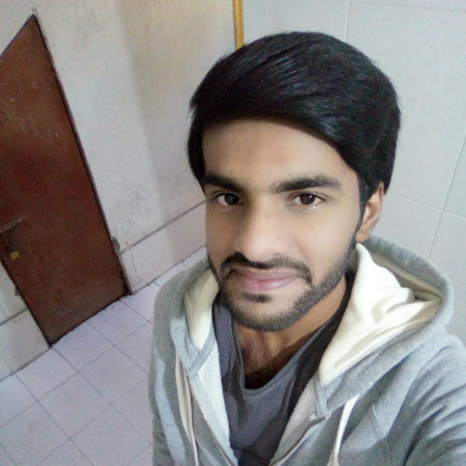 I am a SEO person @BrainLinx at the post of SEO executive,Digital marketing consultant,SEO expert,speaker,author,brand protection,packaging and hotels