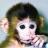 MonkeyFortunes is a website that gives you a fortune made by another user.  It can be great, or it can be deadly.. take your chance, test your karma!