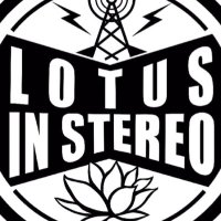 LOTUS IN STEREO (@lotusinstereo) 's Twitter Profile