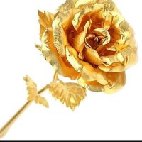 المعلومات الذهببةلي‏‏⠉̮⃝ (@rmram14) Twitter profile photo