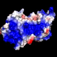 Troeberg lab (@troeberg) 's Twitter Profile