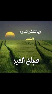 iUbNmPudp0GMjZV's profile picture. سلام