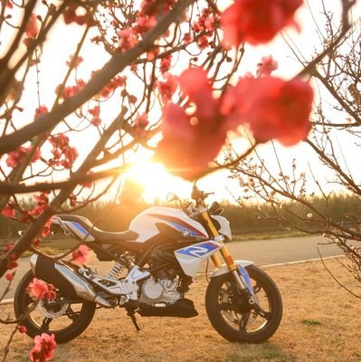 Aerosmi88127475's profile picture. Live Love Laugh