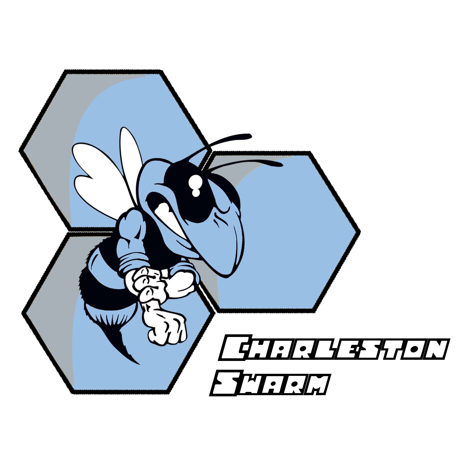 Charleston Swarm 🏀 Profile